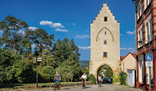 BOUTIQUE HOTEL SCHIEFERHOF Neuhaus am Rennweg