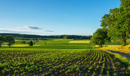 LE COQUELICOT Burnhaupt-le-Haut