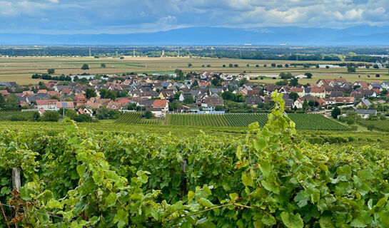 LE COQUELICOT Burnhaupt-le-Haut