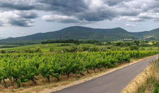 SUD HÔTEL Huttenheim