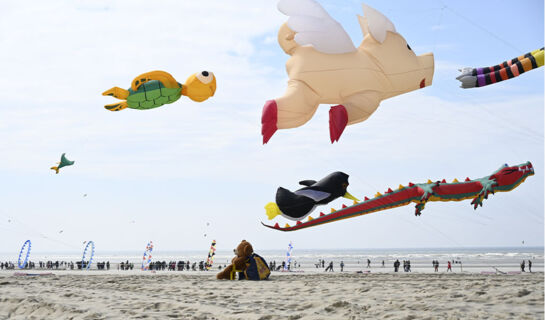 LE DOMAINE DE WAIL Wail