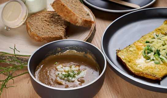 TERME SNOVIK Laze v Tuhinju