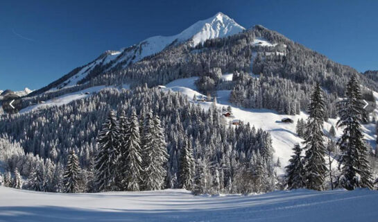 AUBERGE DE LA COMBAL Ormont-Dessous