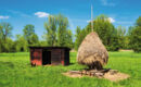 SEEHOTEL BURG Burg (Spreewald)