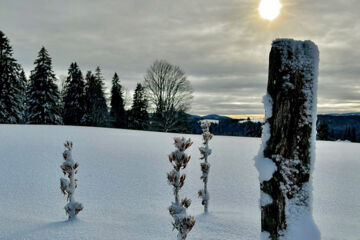 HÔTEL RESTAURANT LES CERNETS VAL-DE-TRAVERS Les Verrières