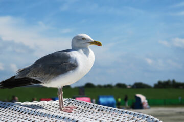 HOTEL & RESTAURANT NORDSTERN - WELLNESS AM MEER Neuharlingersiel