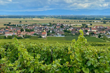 LE COQUELICOT Burnhaupt-le-Haut