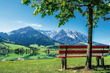 HOTEL GASTHOF ALPENBLICK Radfeld