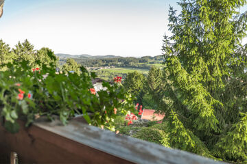 LANDHOTEL TANNENHOF Spiegelau