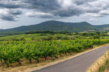 SUD HÔTEL Huttenheim