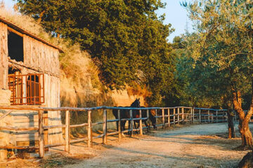 AGRIRESORT LEANO Piazza Armerina