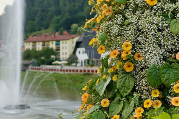 HOTEL ZDRAVILIŠČE LAŠKO Laško