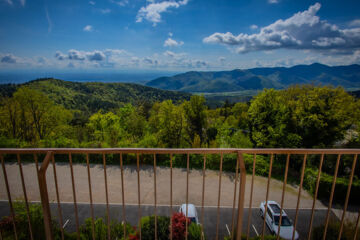 L'ALEXAIN Trois-Epis